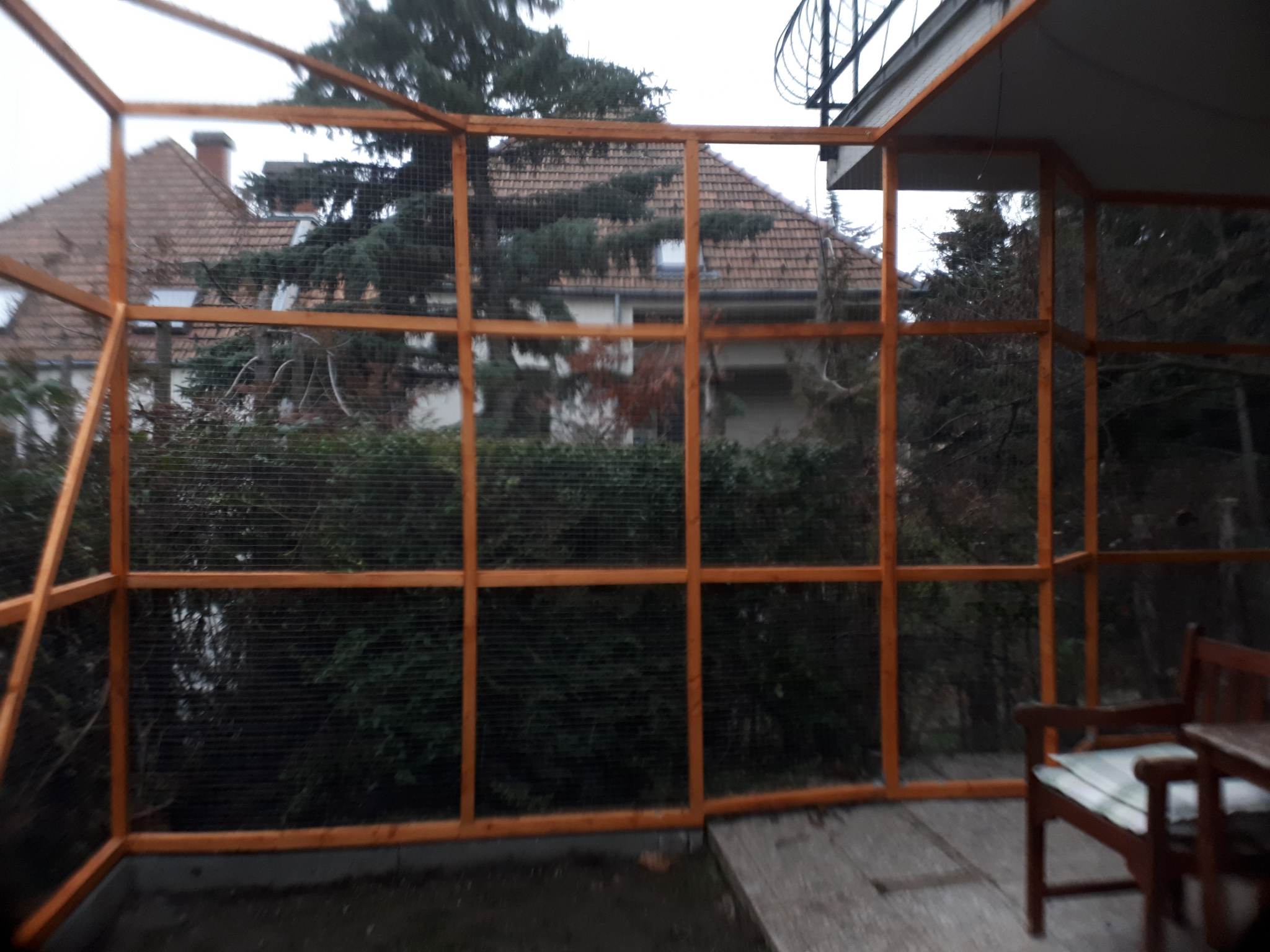 macska kifutó